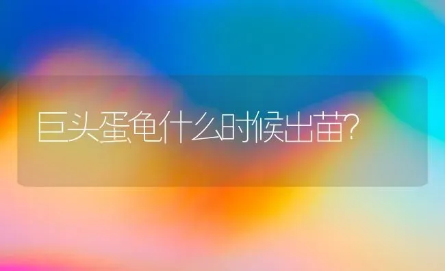 巨头蛋龟什么时候出苗？ | 动物养殖问答