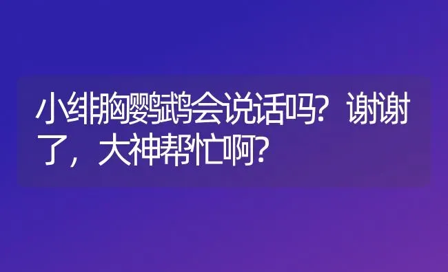 小绯胸鹦鹉会说话吗?谢谢了，大神帮忙啊？ | 动物养殖问答