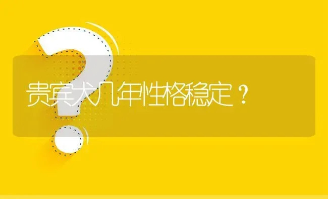 贵宾犬几年性格稳定？ | 动物养殖问答