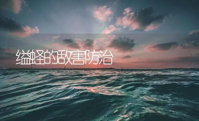 缢蛏的敌害防治 | 海水养殖技术