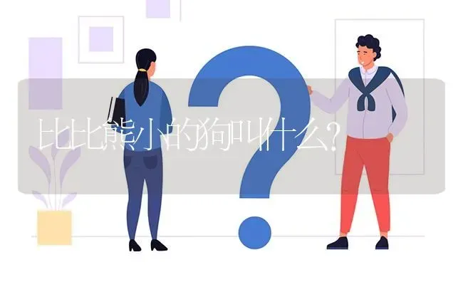 比比熊小的狗叫什么？ | 动物养殖问答