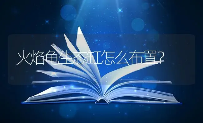 火焰龟生态缸怎么布置？ | 动物养殖问答