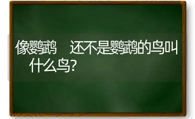 狗狗得了细小大概要花多少钱才能治好？怎么治疗？ | 动物养殖问答