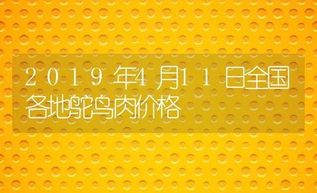 2019年4月11日全国各地鸵鸟肉价格 | 动物养殖百科