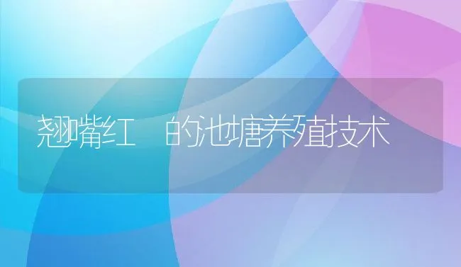 翘嘴红鲌的池塘养殖技术 | 动物养殖饲料