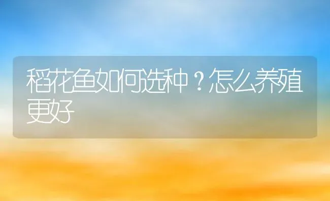 稻花鱼如何选种？怎么养殖更好 | 动物养殖百科