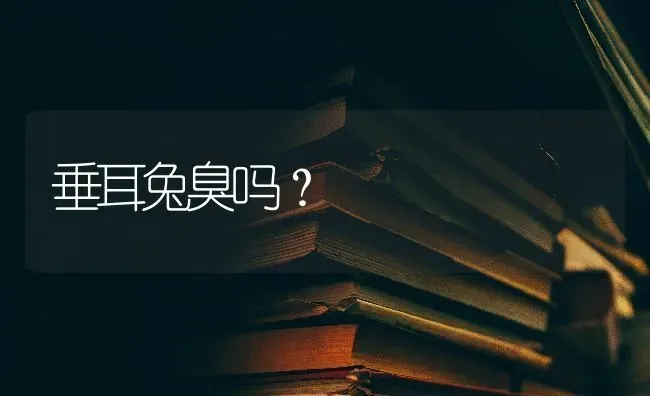 垂耳兔臭吗？ | 动物养殖问答