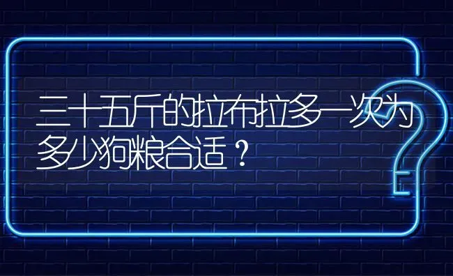 三十五斤的拉布拉多一次为多少狗粮合适？ | 动物养殖问答