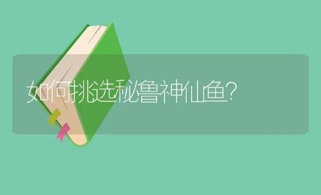 如何挑选秘鲁神仙鱼？ | 鱼类宠物饲养