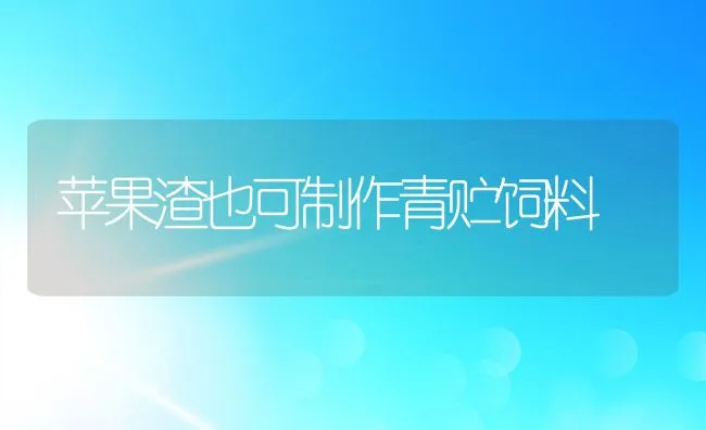 苹果渣也可制作青贮饲料 | 动物养殖饲料