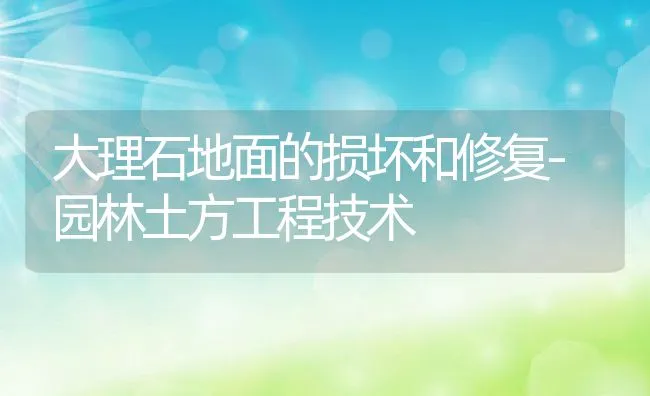 乌龟常见病害防治――冬眠死亡病 | 水产养殖知识