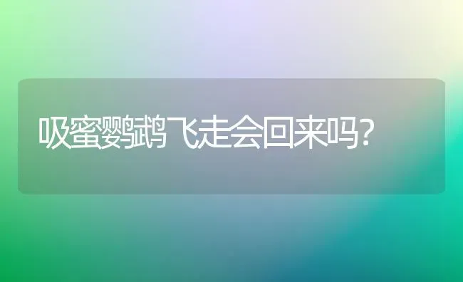 德牧配过种以后能吃鸡架子吗？ | 动物养殖问答