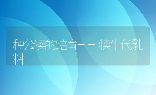 种公犊的培育--犊牛代乳料 | 动物养殖学堂