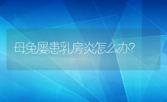 藻类与渔池水色 | 海水养殖技术