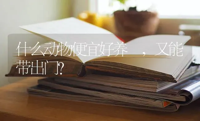 什么动物便宜好养 ，又能带出门？ | 动物养殖问答