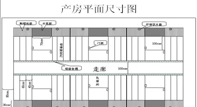 现代化养猪场设计及搭建方案