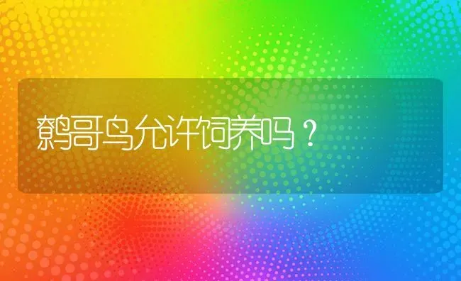 鹩哥鸟允许饲养吗？ | 动物养殖问答