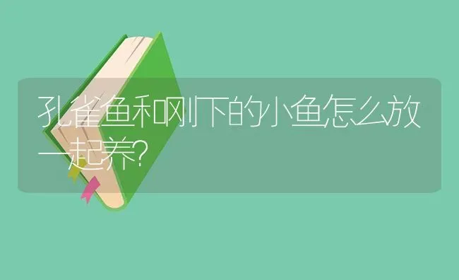 孔雀鱼和刚下的小鱼怎么放一起养？ | 鱼类宠物饲养