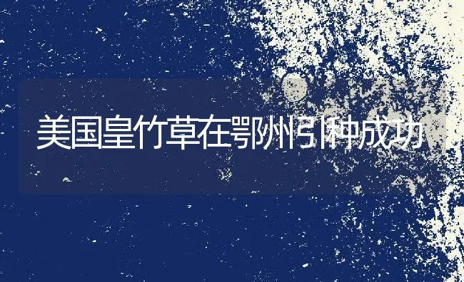 鸽子的养殖技术 | 动物养殖学堂