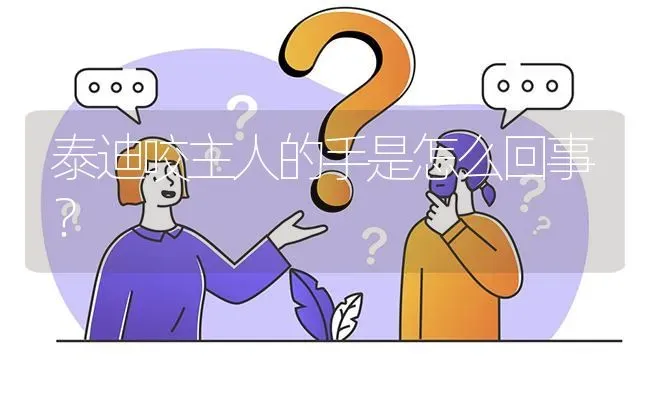 泰迪咬主人的手是怎么回事？ | 动物养殖问答