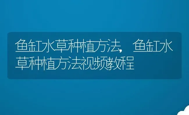 鱼缸水草种植方法,鱼缸水草种植方法视频教程 | 宠物百科知识