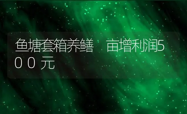 鱼塘套箱养鳝 亩增利润500元 | 动物养殖学堂