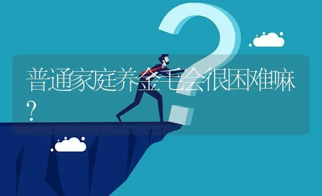 普通家庭养金毛会很困难嘛？ | 动物养殖问答