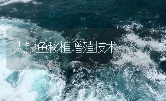 大银鱼移植增殖技术 | 海水养殖技术