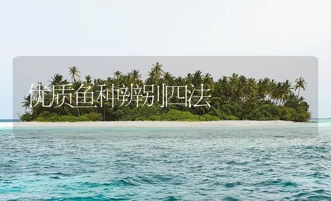 优质鱼种辨别四法 | 海水养殖技术