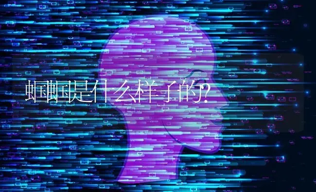 蝈蝈是什么样子的？ | 动物养殖问答