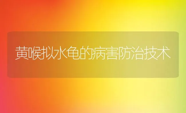 黄喉拟水龟的病害防治技术 | 动物养殖学堂