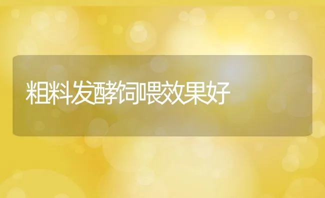 粗料发酵饲喂效果好 | 动物养殖饲料