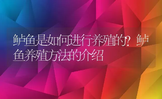 鲈鱼是如何进行养殖的?鲈鱼养殖方法的介绍 | 动物养殖百科