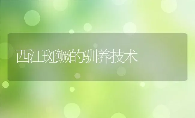 西江斑鳜的驯养技术 | 动物养殖饲料