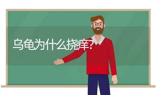 乌龟为什么挠痒？ | 动物养殖问答