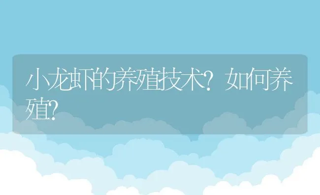 小龙虾的养殖技术？如何养殖？ | 动物养殖饲料