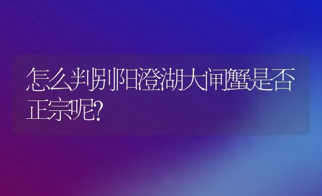 怎么判别阳澄湖大闸蟹是否正宗呢？ | 动物养殖百科