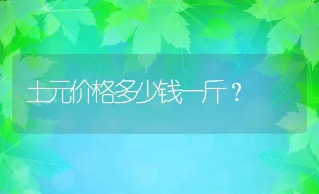 土元价格多少钱一斤？ | 动物养殖百科