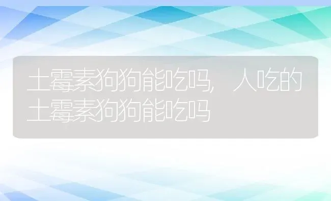 土霉素狗狗能吃吗,人吃的土霉素狗狗能吃吗 | 宠物百科知识