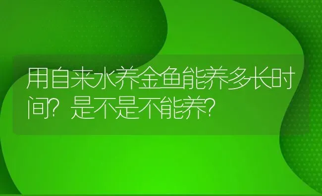 用自来水养金鱼能养多长时间？是不是不能养？ | 鱼类宠物饲养