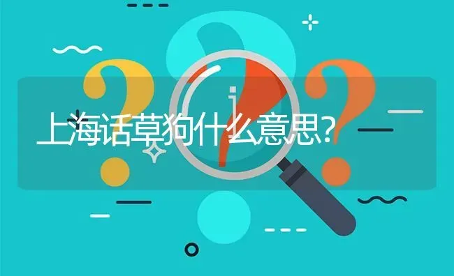 上海话草狗什么意思？ | 动物养殖问答