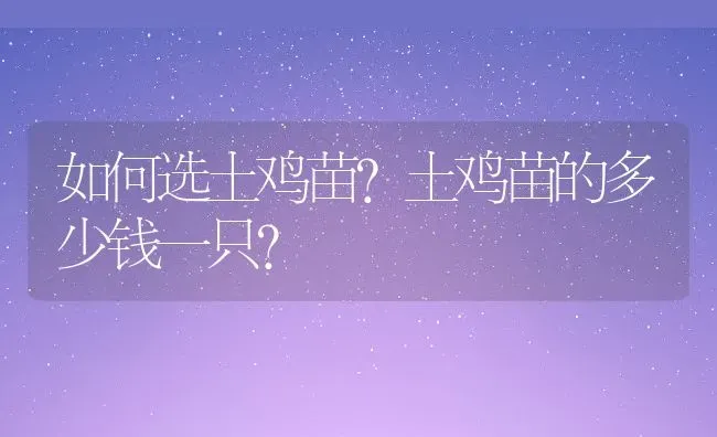 如何选土鸡苗?土鸡苗的多少钱一只? | 动物养殖百科