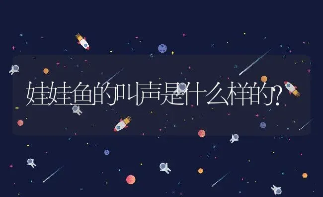 娃娃鱼的叫声是什么样的？ | 动物养殖百科