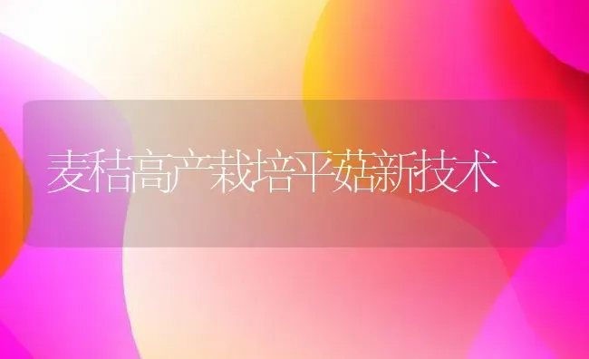 麦秸高产栽培平菇新技术 | 动物养殖教程