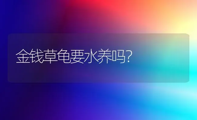 金钱草龟要水养吗？ | 动物养殖问答