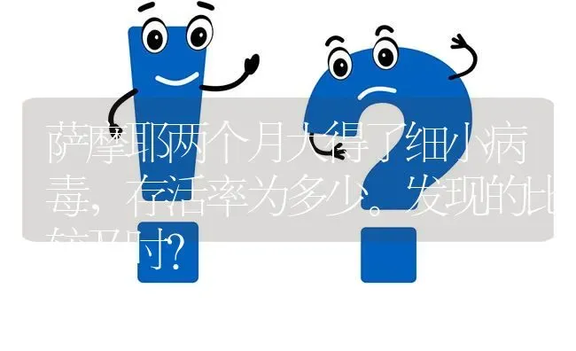 萨摩耶两个月大得了细小病毒，存活率为多少。发现的比较及时？ | 动物养殖问答