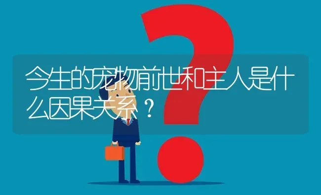 今生的宠物前世和主人是什么因果关系？ | 动物养殖问答