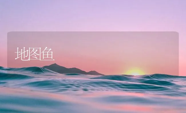 地图鱼 | 海水养殖技术