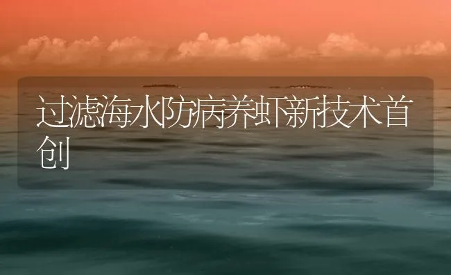 过滤海水防病养虾新技术首创 | 海水养殖技术