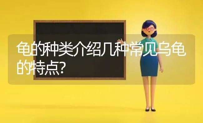 龟的种类介绍几种常见乌龟的特点？ | 动物养殖问答